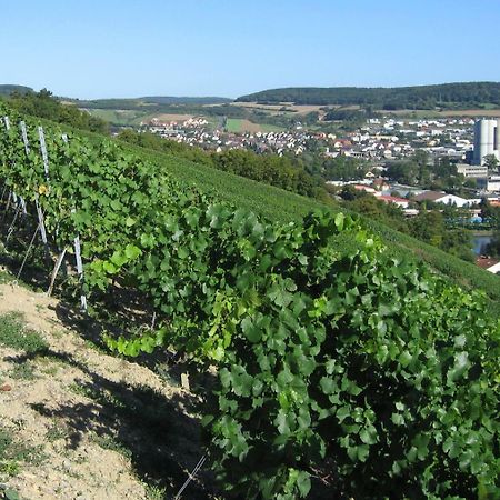 Weinstube Schwalbennest Hotel Karlstadt Ngoại thất bức ảnh