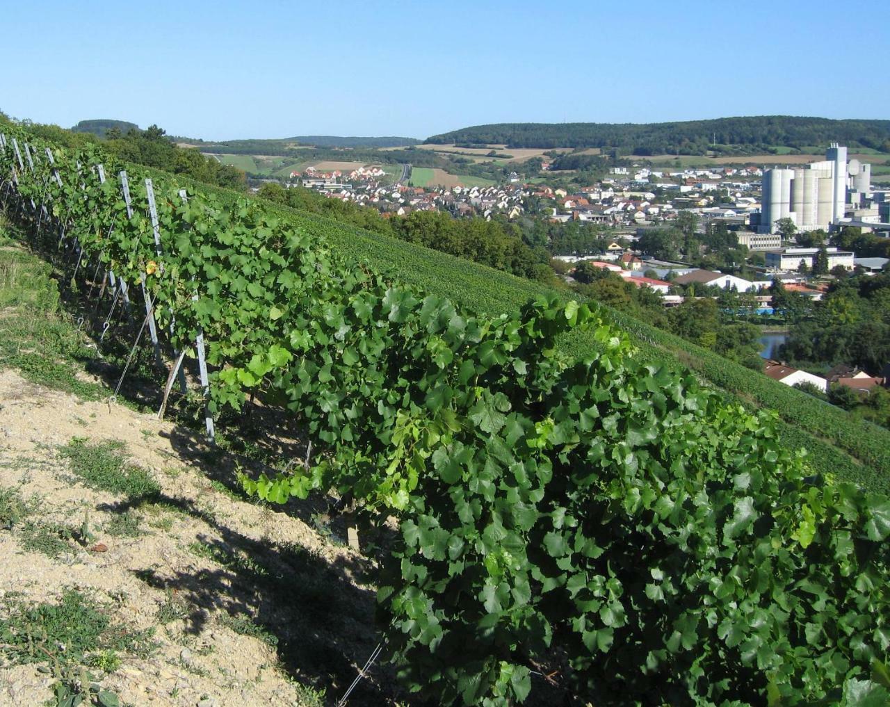 Weinstube Schwalbennest Hotel Karlstadt Ngoại thất bức ảnh